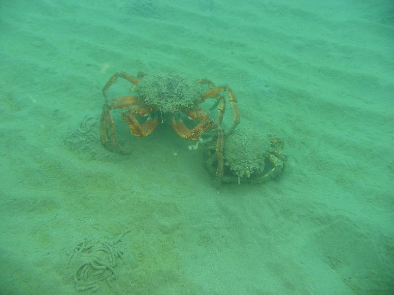 2011-06-06 14-50-05 UK.JPG
